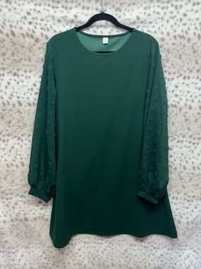 LONG SHEER SLEEVE DRESS